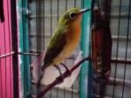 IMG_20260519_232329